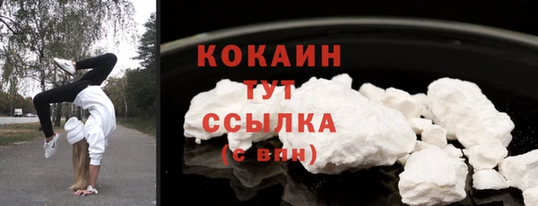 дживик Балахна
